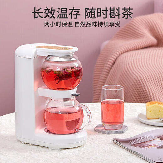 鸣盏养生壶泡茶机电水壶热水壶烧水壶电热水壶茶壶迷你玻璃花茶壶速热台式茶饮机MZ-1151 HF 商品图1