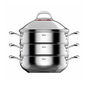 【菲仕朗大蒸锅】（FOSSLANG）304不锈钢家用三层二层大蒸锅蒸鱼蒸馒头30cm FSL-EZ01A（两个蒸屉）