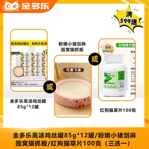 【双11抢先购赠品链接，单拍不发货】单笔实付满599赠品 （三选一） 商品图0