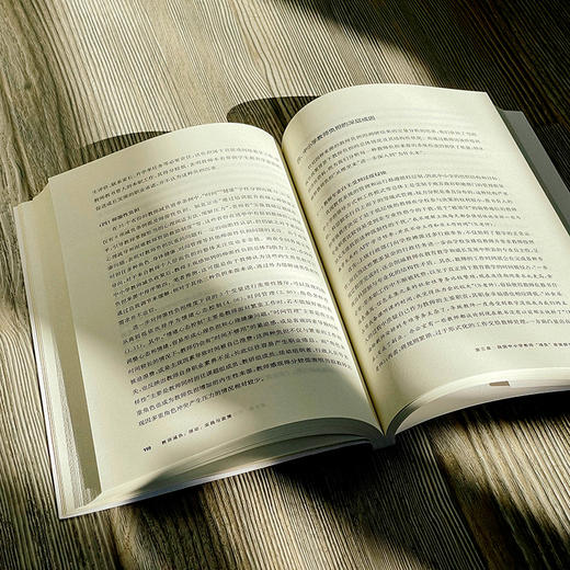 教师减负：理论、实践与政策 赵健 吴旻瑜等著 中小学教师减负 商品图14