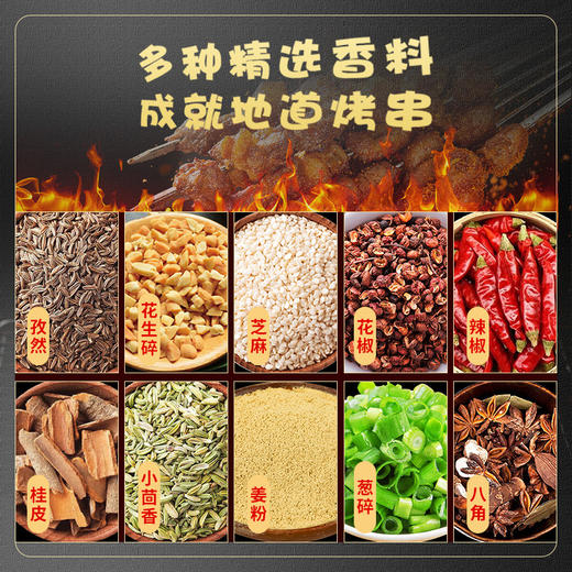 【让烤肉变得简单！烧烤调料】烧烤料一斤装烧烤撒料烤肉蘸料腌料烧烤调料蘸水摆摊调味料健康 商品图2