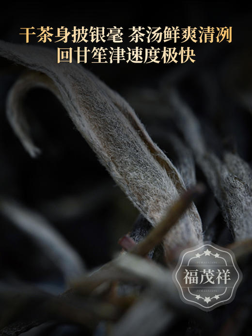 积分兑换【墨江迷帝】贡茶之魂 收藏送礼首选 2023年头春普洱普洱茶区古500年普洱生茶300g木箱装 商品图4