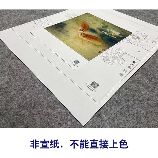 【大彩图】李晓明工笔画白描底稿《双鱼睡莲图》荷花鲤鱼临摹勾线花鸟线稿K116 商品图2
