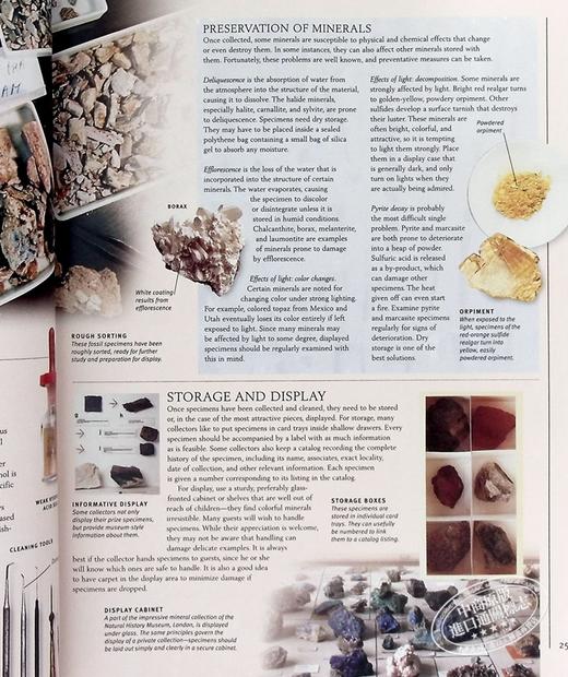 【中商原版】DK Eyewitness系列 岩石和宝石百科 Rock and Gem Eyewitness 英文原版 自然宝藏 标本科普 宝石学家 商品图5