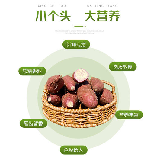 【连州高山一点红番薯】软糯香甜 营养丰富·细腻甜蜜 绵沙少丝 商品图2