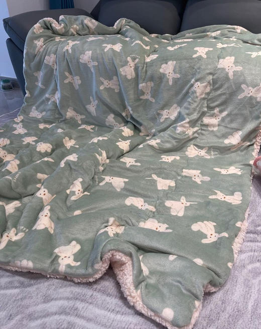 外贸原单西川吸湿发热被子盖毯 商品图2