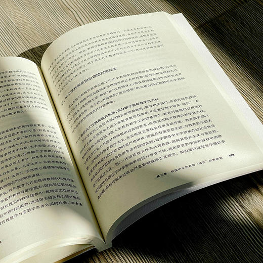 教师减负：理论、实践与政策 赵健 吴旻瑜等著 中小学教师减负 商品图10