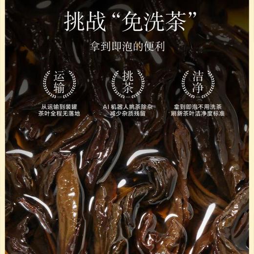 小罐茶园金标系列大红袍/65克 商品图2