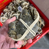 蟹皇府大闸蟹（阳澄湖湖中心养殖） 商品缩略图5