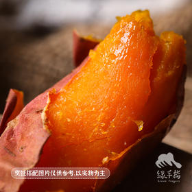 生态三河红薯（烟薯+西瓜红各半）| 合作生产* Eco sweet potato | Coproduction
