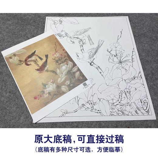 【大彩图】李晓明工笔画白描底稿《玉兰双雀》临摹勾线花鸟线稿K115 商品图1
