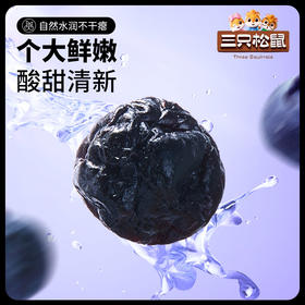 【新品】三只松鼠_ 线下散称_蓝莓干/++/16g-zl