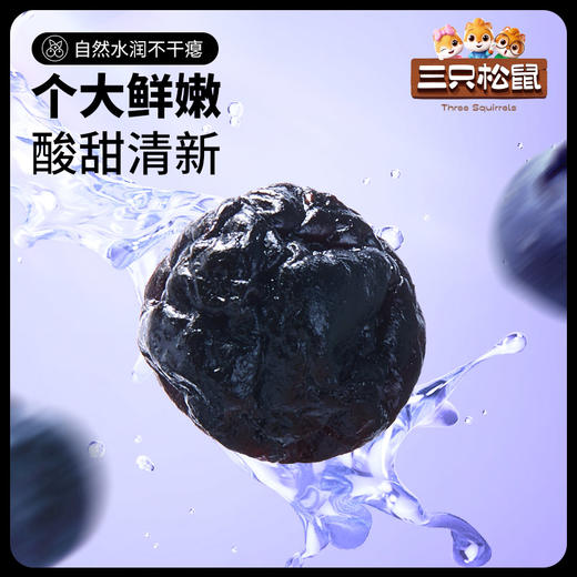 【新品】三只松鼠_ 线下散称_蓝莓干/++/16g-zl 商品图0