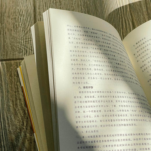 实践型学科课程设计与实施 陈文芳主编 课程治理新范式丛书 商品图13