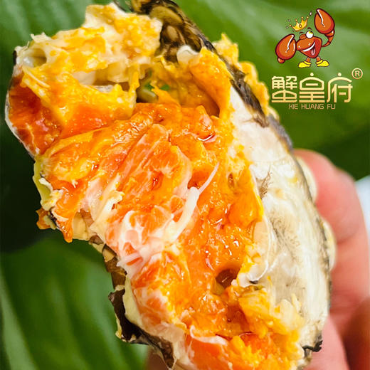 蟹皇府大闸蟹（阳澄湖湖中心养殖） 商品图7
