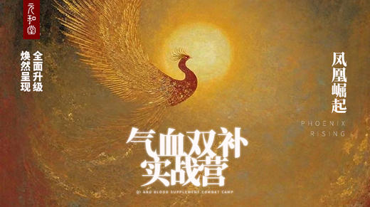 【预售】气血双补综合强化实战营|课程装备|直播专属|联系老师学习|元和学院 商品图0
