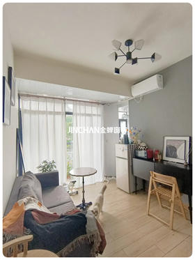 谁懂啊，一个人住真的快乐又自由！