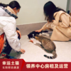 【幸运土猫】领养中心项目众筹通道｜定期发送电子刊，反馈项目工作进展 商品缩略图10