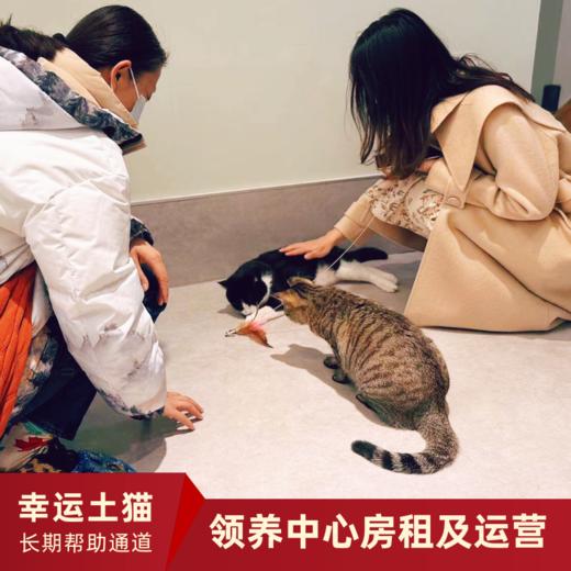 【幸运土猫】领养中心项目众筹通道｜定期发送电子刊，反馈项目工作进展 商品图10