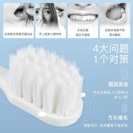「9.9元包邮！四色可选」宽头牙刷软毛护龈孕妇月子产妇用女士成人家庭装家用口腔护理 商品图1