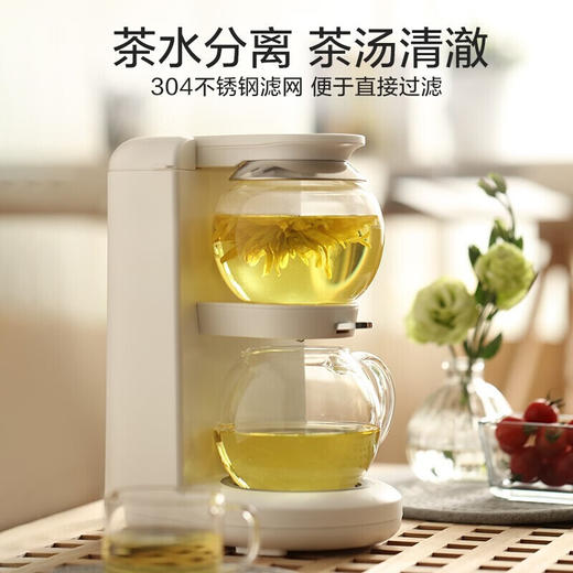 鸣盏养生壶泡茶机电水壶热水壶烧水壶电热水壶茶壶迷你玻璃花茶壶速热台式茶饮机MZ-1151 HF 商品图4