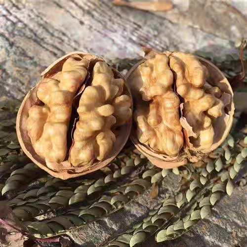 新疆185A级纸皮核桃  阿克苏185纸皮核桃 薄皮 薄壳   坚果系列！