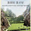 小罐茶园金标系列大红袍/65克 商品缩略图4
