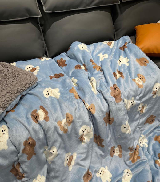 外贸原单西川吸湿发热被子盖毯 商品图3