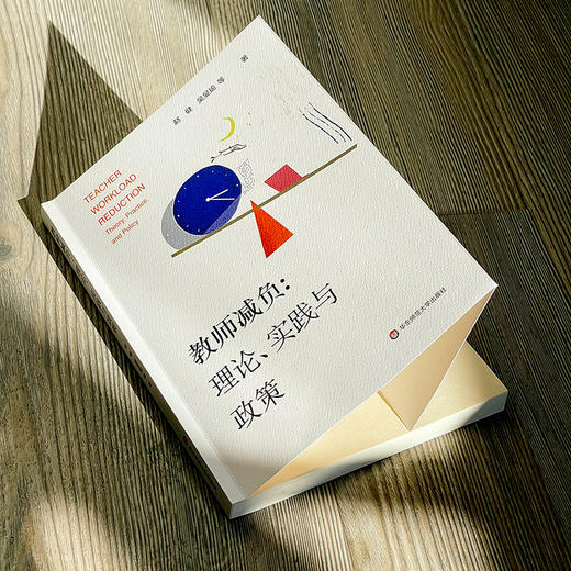 教师减负：理论、实践与政策 赵健 吴旻瑜等著 中小学教师减负 商品图6