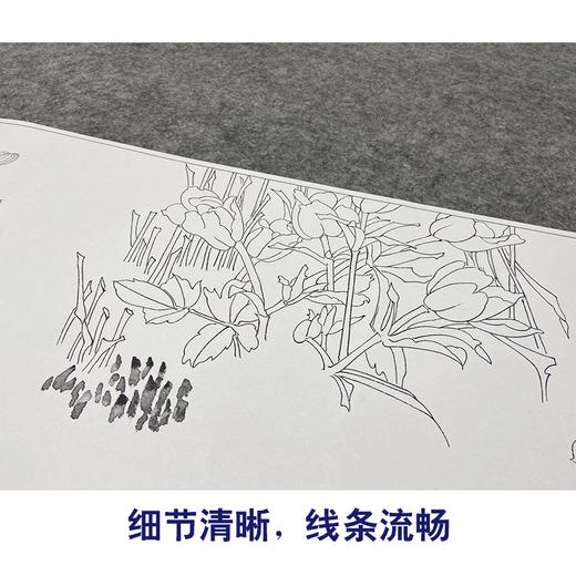 【大彩图】横幅工笔画白描底稿《黄鹂》初学者临摹花鸟线稿HN04 商品图4