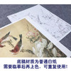【大彩图】李晓明工笔画白描底稿《玉兰双雀》临摹勾线花鸟线稿K115 商品缩略图3