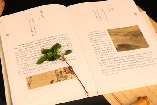 “古典诗词回望系列”丛书（共四册） 商品图1