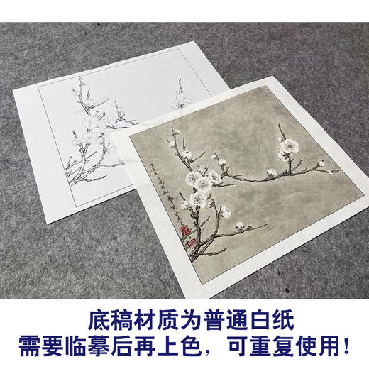 【大彩图】李晓明工笔画白描底稿小品《早春图》梅花临摹勾线花鸟线稿K114 商品图3