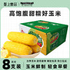 聖上壹品 东北甜糯玉米真空装200g*8根 商品缩略图0