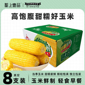现货【低脂】圣上壹品黄糯玉米棒玉米粒香甜糯东北黏苞米可拉丝真空