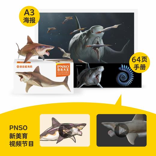 PNSO旋齿鲨海莉恐龙大王成长陪伴模型43 商品图3