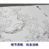 【大彩图】横幅工笔画长卷白描底稿临摹勾线花鸟线稿高清打印稿 HN05 商品缩略图4