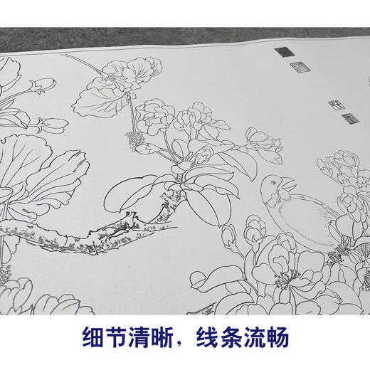 【大彩图】横幅工笔画长卷白描底稿临摹勾线花鸟线稿高清打印稿 HN05 商品图4