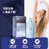 GABA氨基丁酸 酸枣仁γ-氨基丁酸饮 商品缩略图0