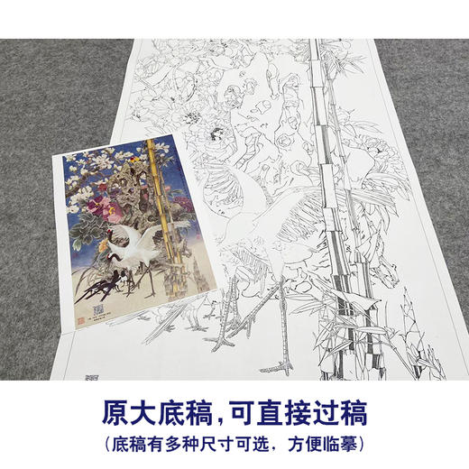 【大彩图】窦绅卿工笔画白描底稿《雅园春芳好》仙鹤临摹勾线花鸟线稿HN13 商品图1
