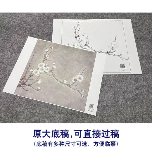 【大彩图】李晓明工笔画白描底稿小品《早春图》梅花临摹勾线花鸟线稿K114 商品图1