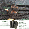 【轻松卷制不易碎！寿司海苔大片装】轻松搭配紫菜包饭，专用50张做紫菜包饭材料商用海苔寿司卷—DD健康 商品缩略图2