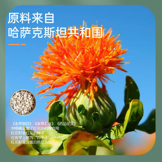【绿洲果实】有机红花籽油 500ml 商品图2