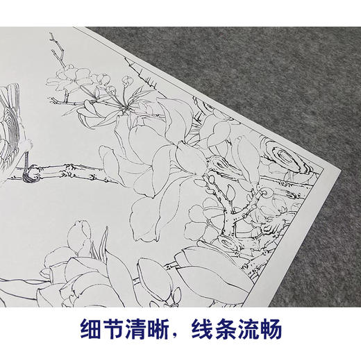 【大彩图】李晓明工笔画白描底稿《玉兰双雀》临摹勾线花鸟线稿K115 商品图4