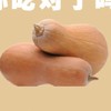 长南瓜 商品缩略图0