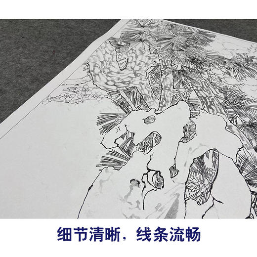 【大彩图】窦绅卿工笔画白描底稿《益景迎春晖》仙鹤临摹勾线花鸟线稿HN14 商品图4