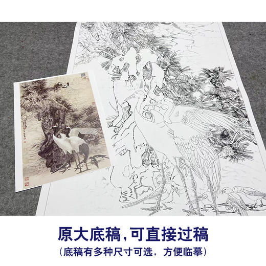 【大彩图】窦绅卿工笔画白描底稿《益景迎春晖》仙鹤临摹勾线花鸟线稿HN14 商品图1