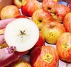 新西兰富士小苹果 |进口水果 商品缩略图0