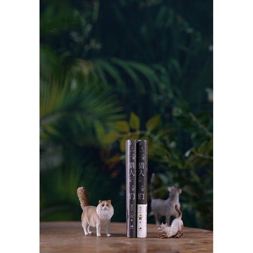 猎人们 朱天心 著 文学 商品图4