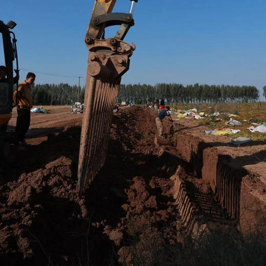 【2026年现挖】生鲜24小时内售后！河南焦作温县正宗垆土铁棍山药粉糯 5斤/箱(圆通/德邦，运输导致少量断根，不影响食用，不作售后) 商品图5